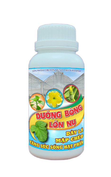 DX2 - DUONG BÔNG - LON NU