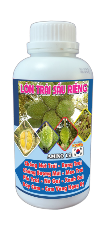 DX6 - LON TRAI SAU RIENG