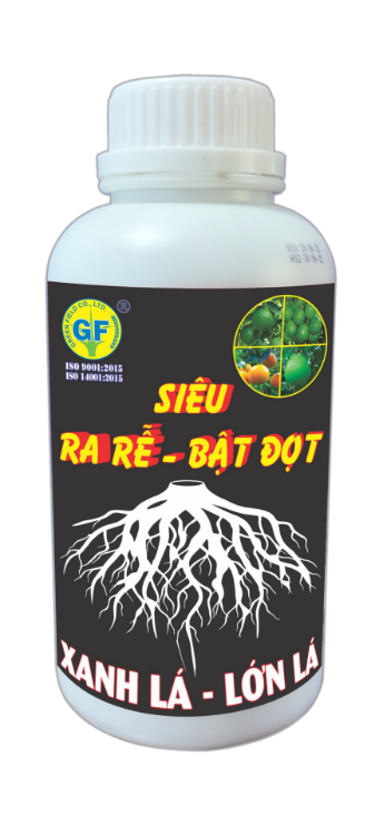 DX NA 11 - SIEU RA RE BAT ĐOT