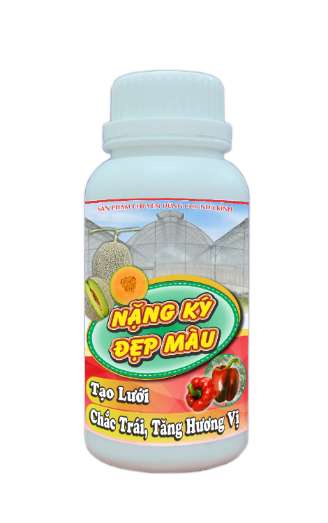 Ảnh của ĐỒNG XANH 3 - NẶNG KÝ, ĐẸP MÀU