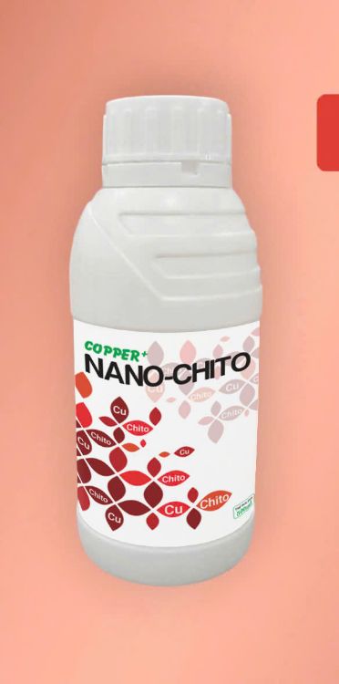 Ảnh của Copper Nano - Chito 