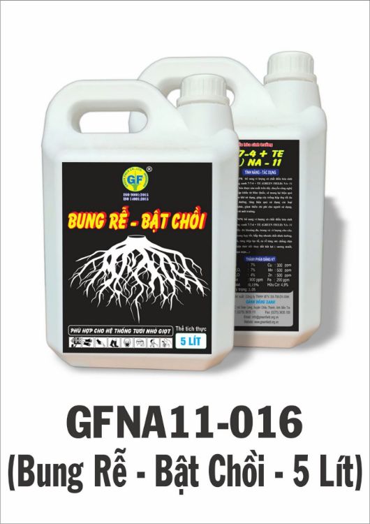 Ảnh của Bung rễ.Bật chồi