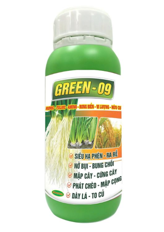 Ảnh của DX2 - GREEN 09