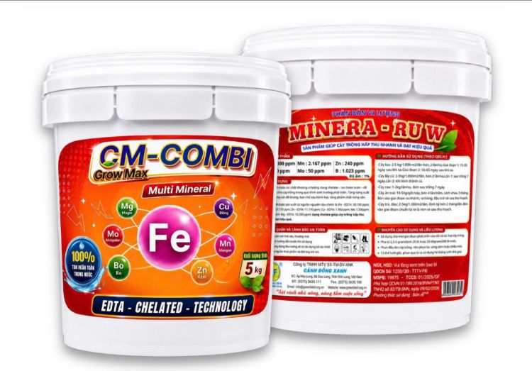 Ảnh của Combi - Xô 5kg