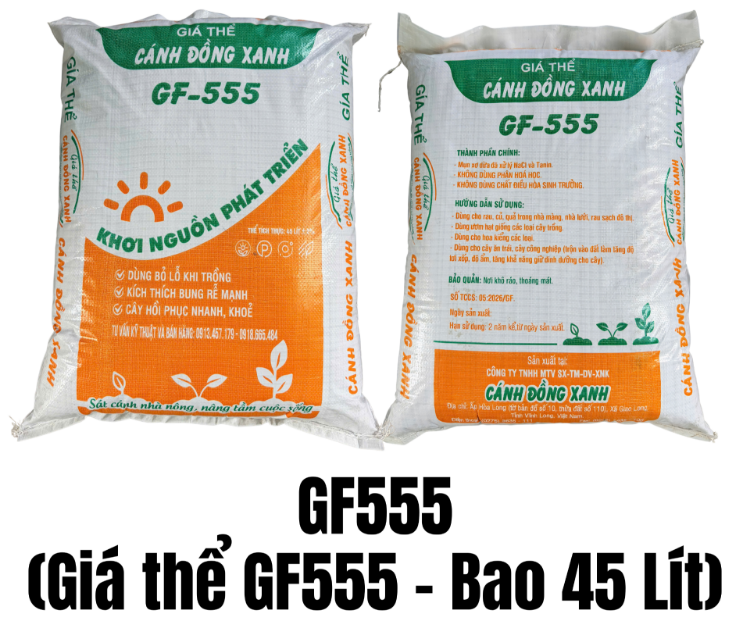 Ảnh của GF555